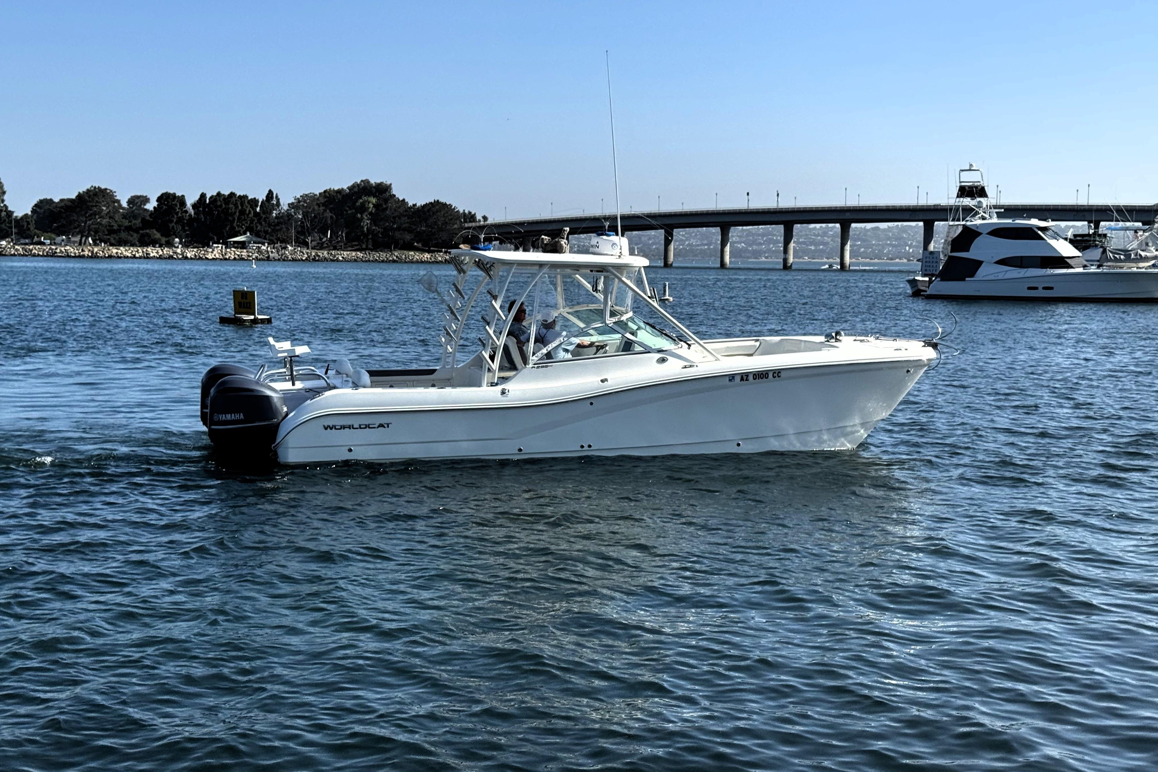World Cat - 50North
