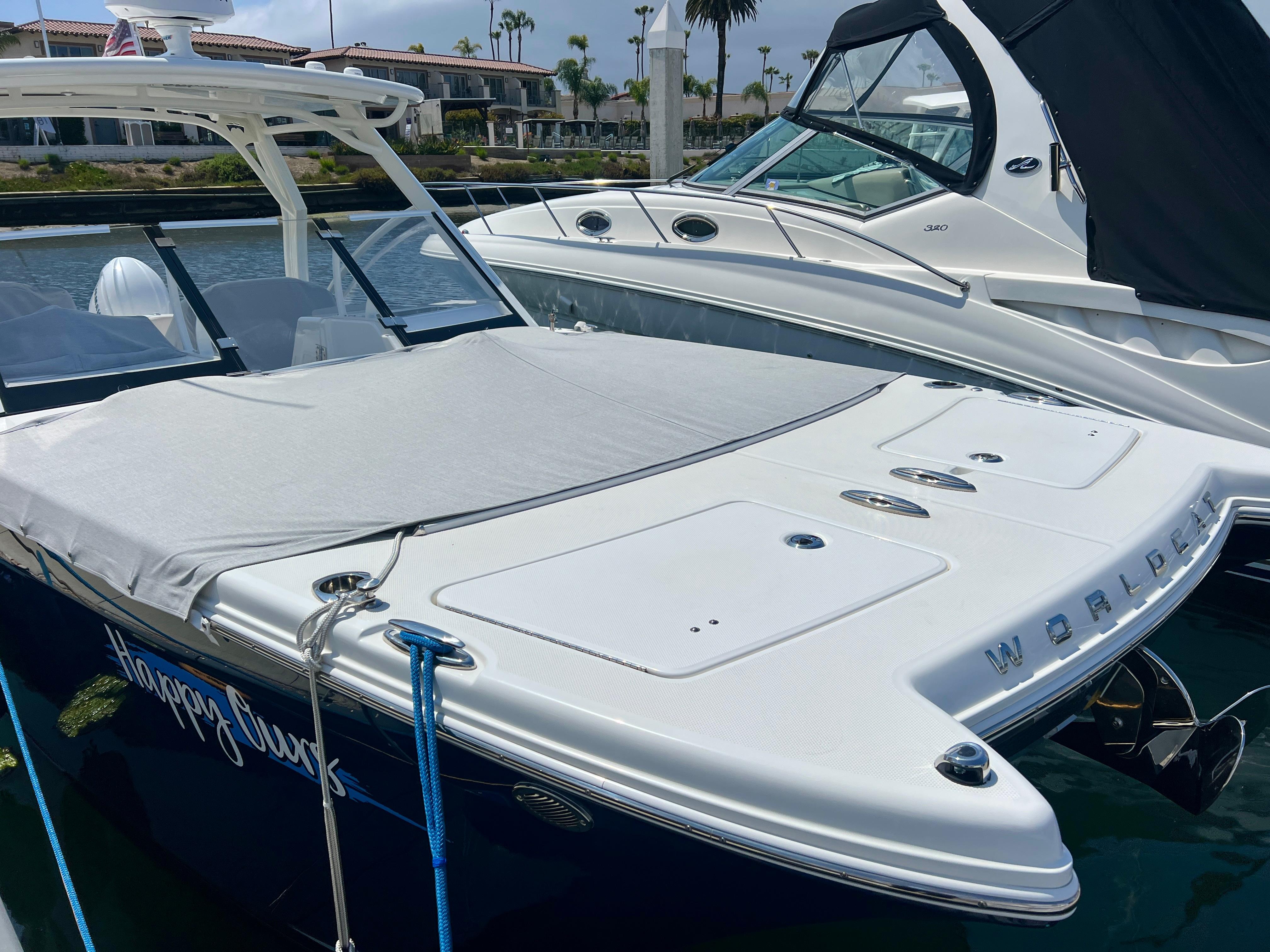 World Cat - 50North
