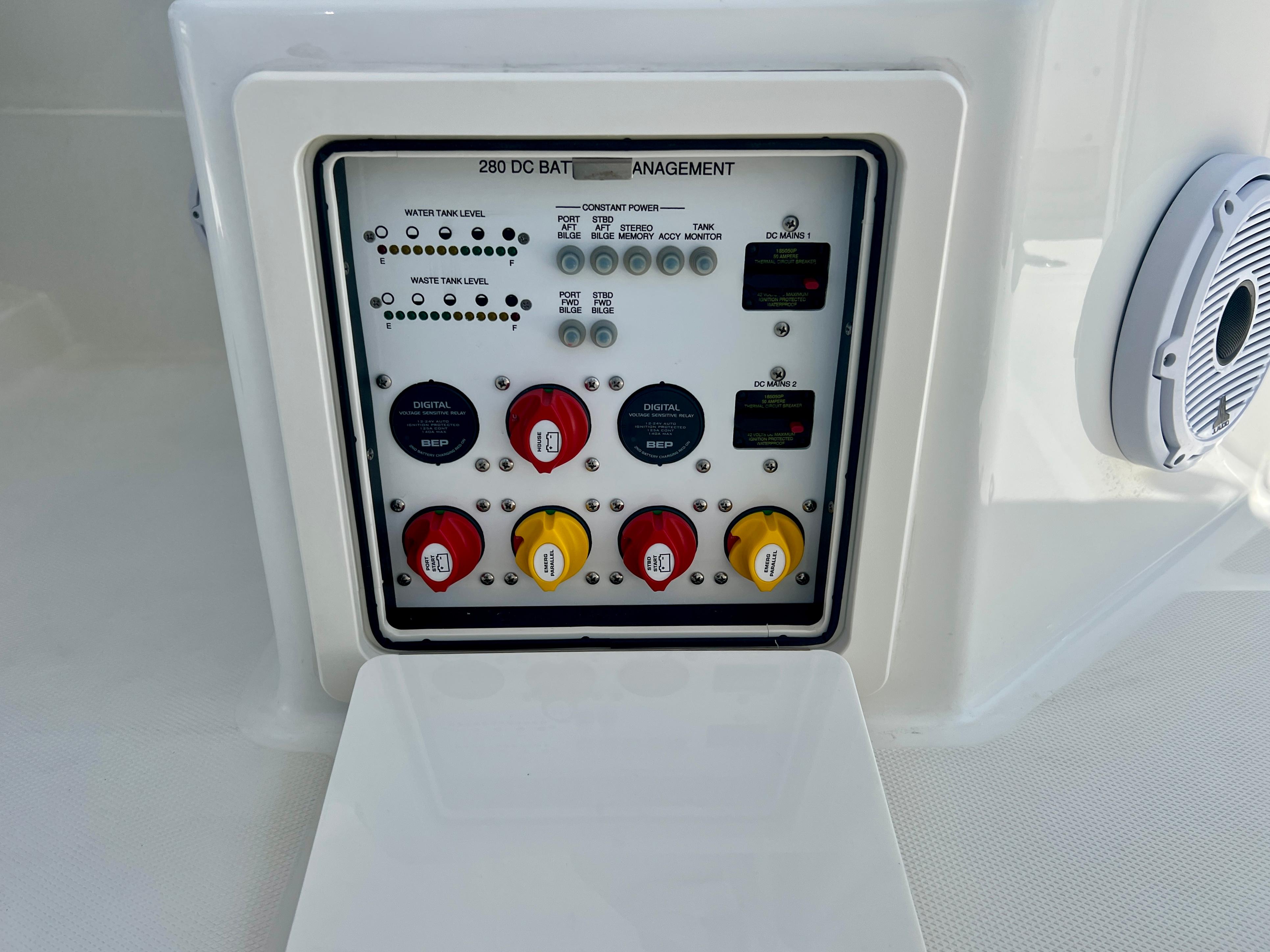 World Cat - 50North