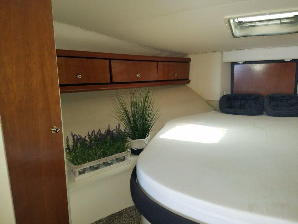 Boat image 17