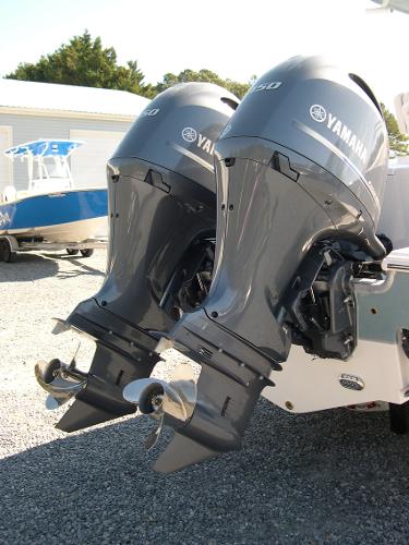 Gamefish 25 Photo 6