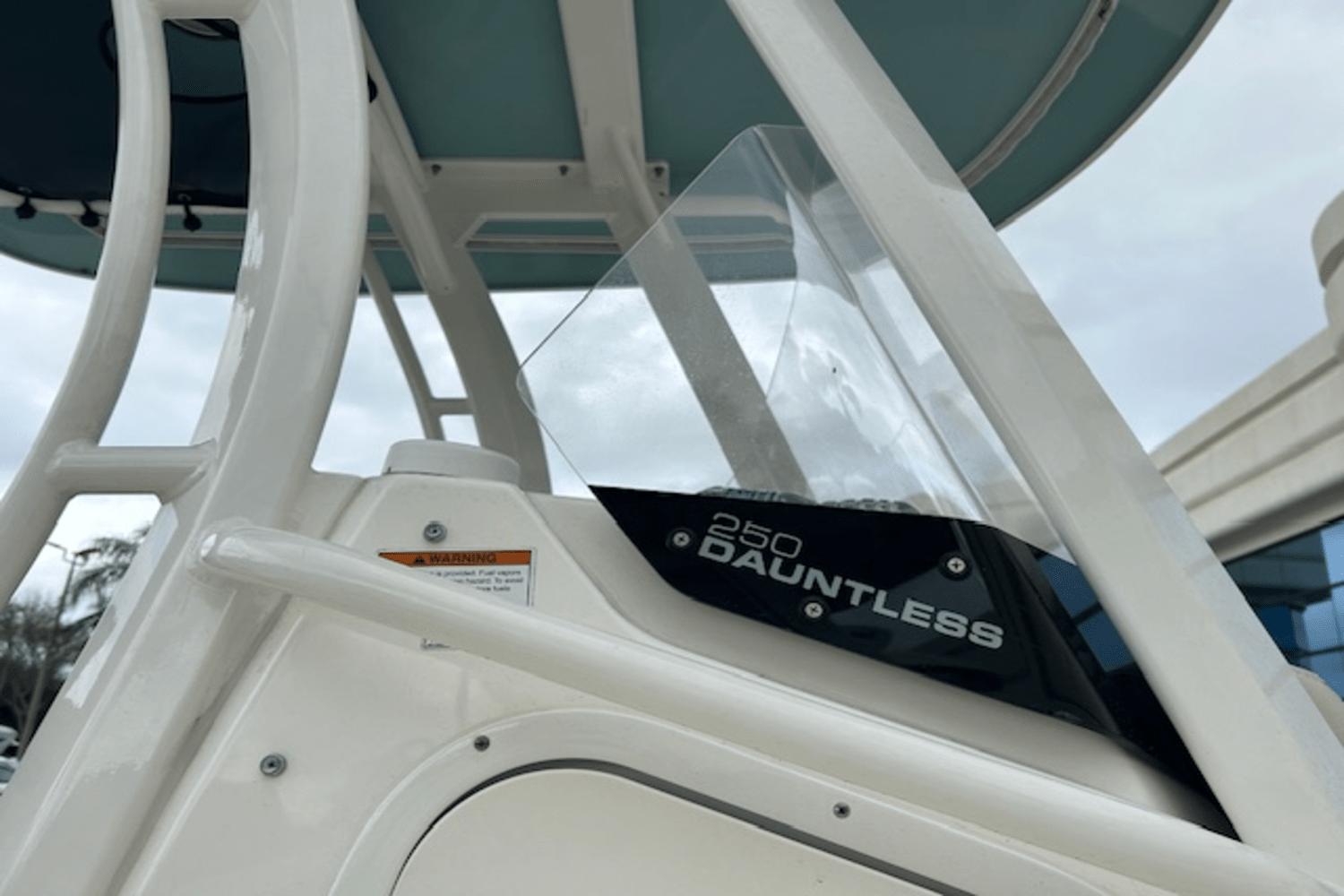 2022-boston-whaler-250-dauntless-power-9685925-974079411-0-180220251324-9