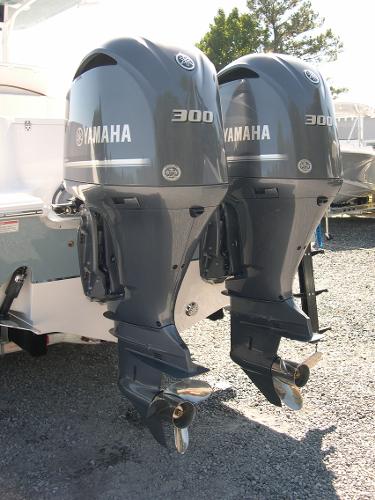 Gamefish 30 Photo 6