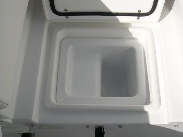Gamefish 30 Photo 50