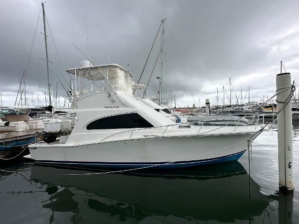 Photo of 2005 Luhrs 41'