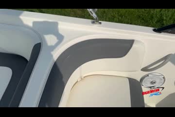 Bayliner ELEMENT-E21 video