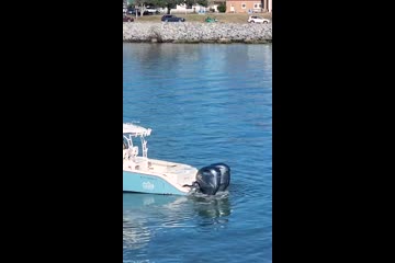 Cobia 350 Center Console video