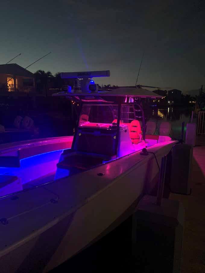 LED Lights