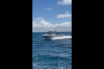 Boston-whaler 23-CONQUEST video