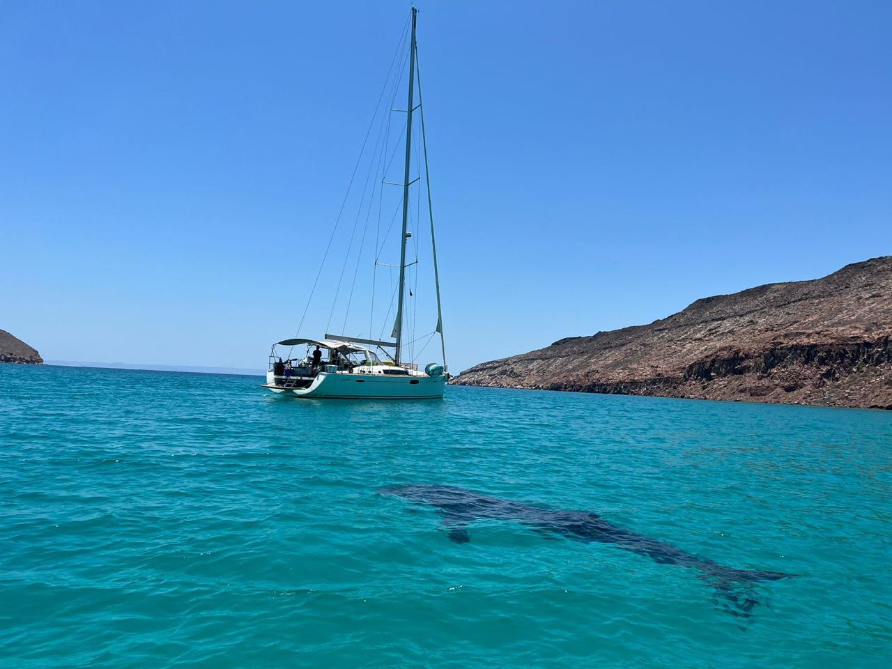 Vayu Beneteau Oceanis 60 2017 for sale in La Paz 