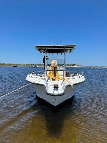 24' Four Winns, Listing Number 100913518, Image No. 4