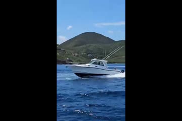 Boston-whaler 345-CONQUEST video