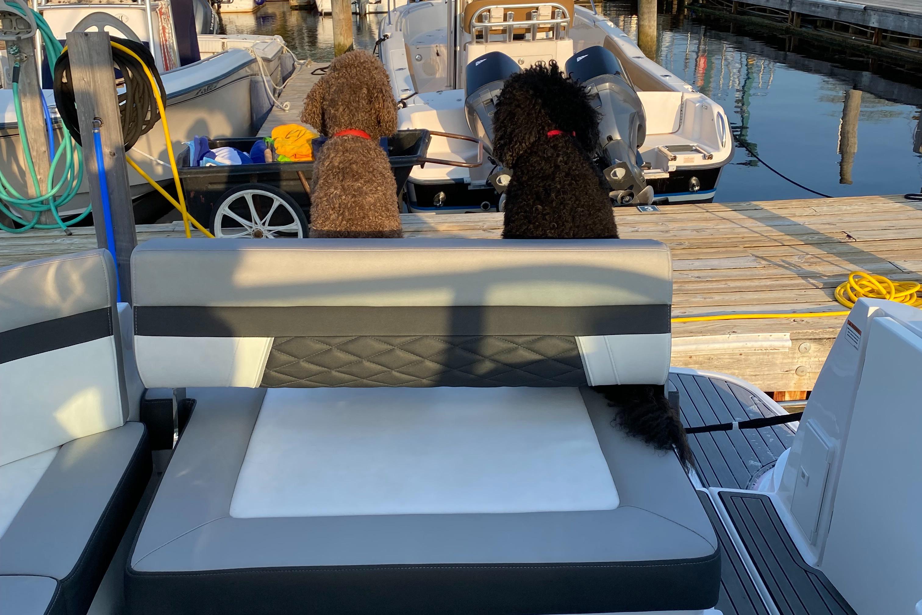 2022-monterey-295-sport-yacht-power-9796512-20250516093641614-1_XLARGE