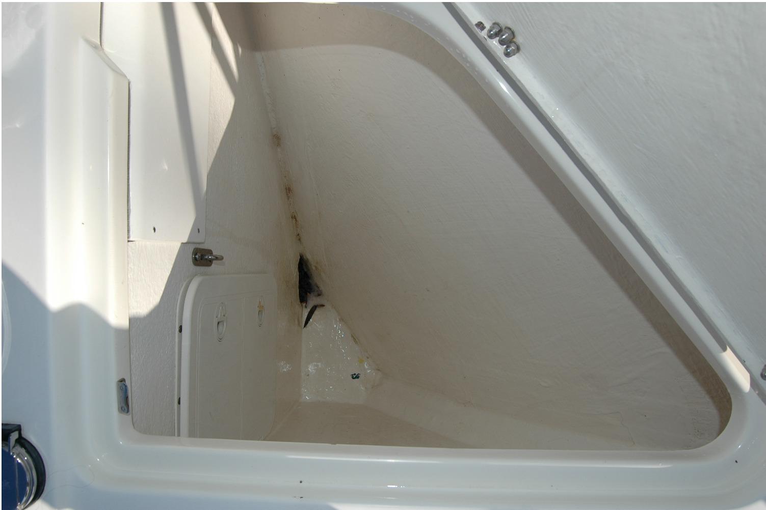 Storage compartment on a 2019 Sabre 38 Salon Express boat.