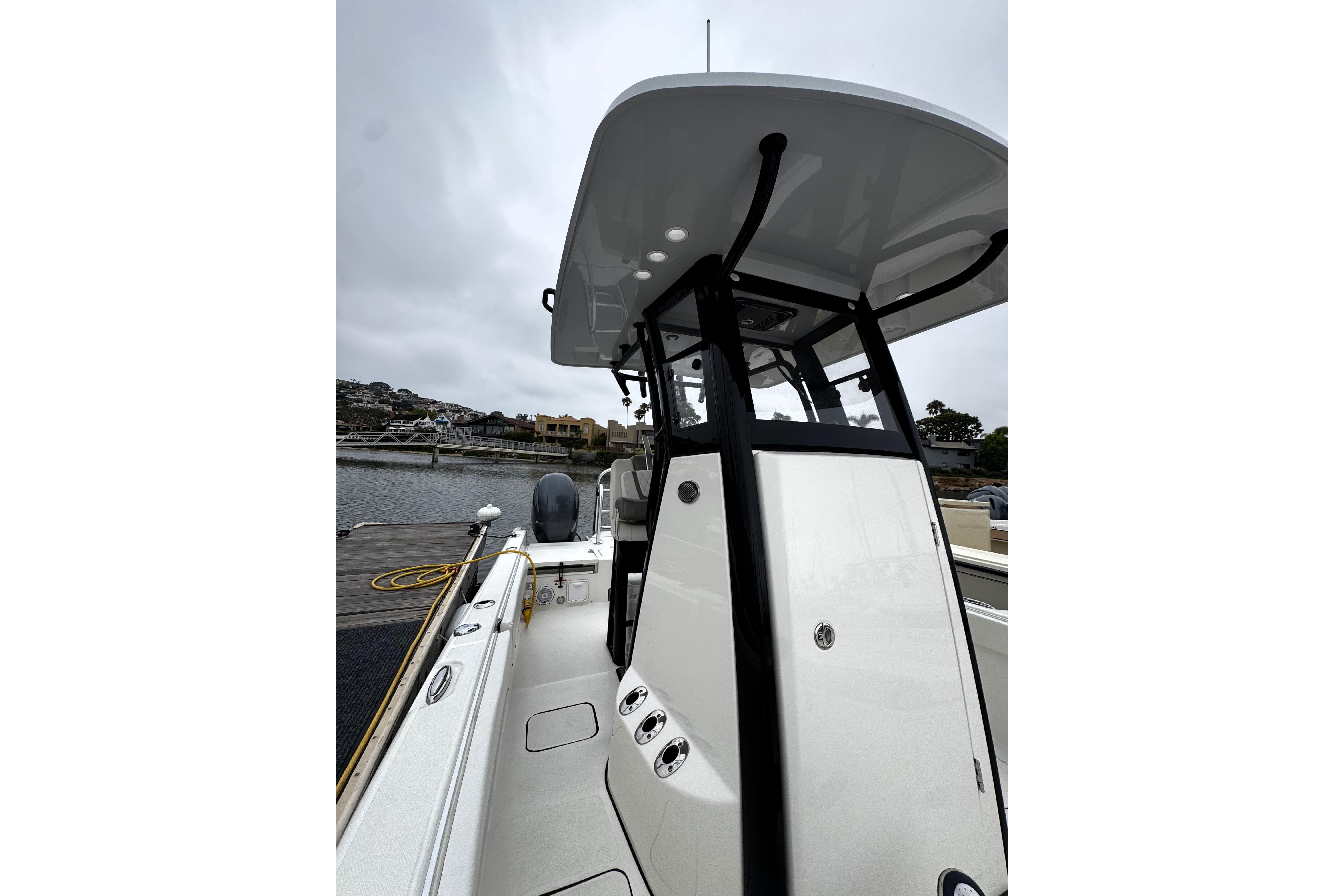 World Cat - 50North