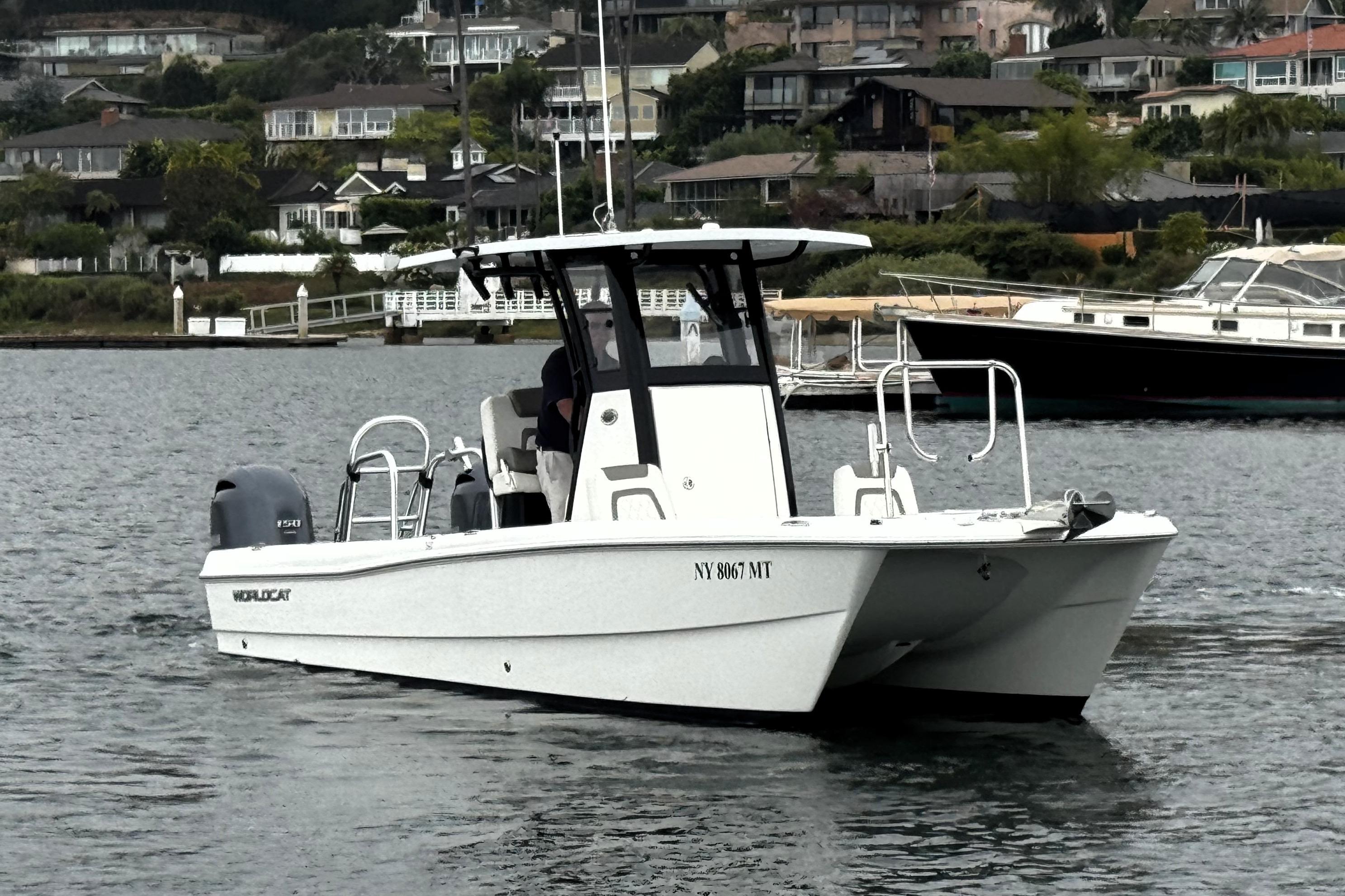 World Cat - 50North