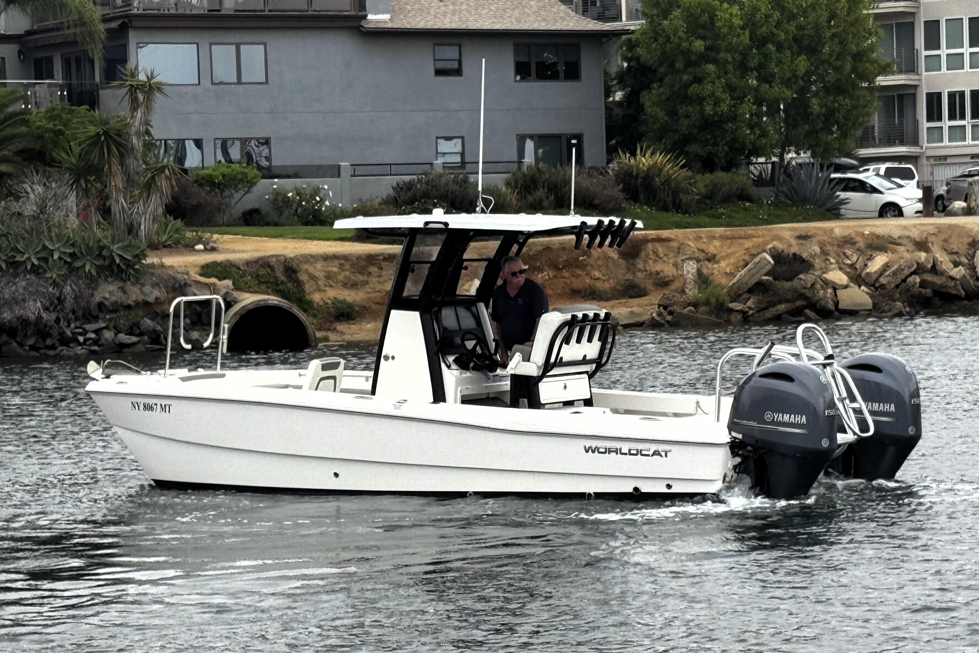 World Cat - 50North
