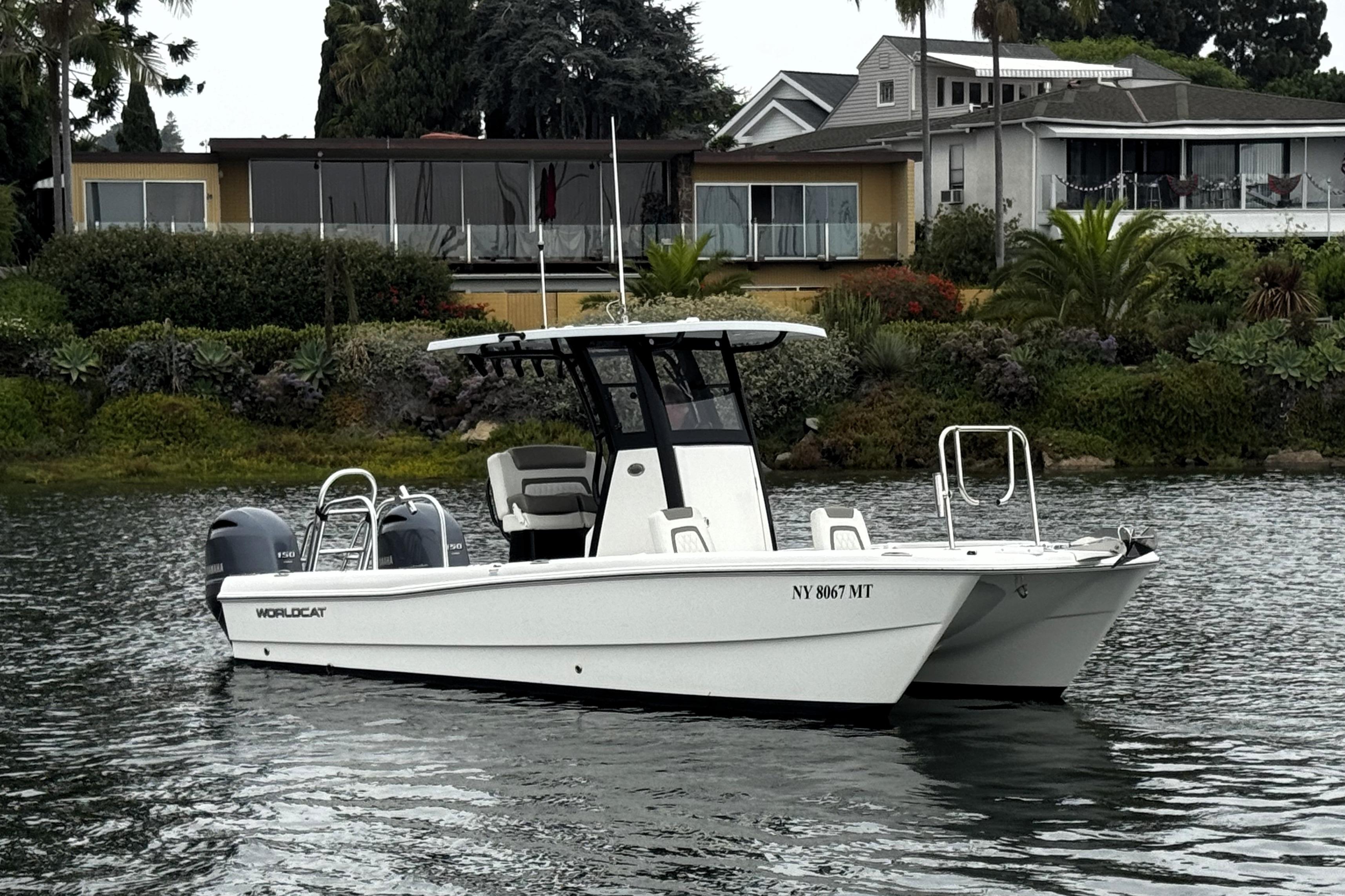 World Cat - 50North