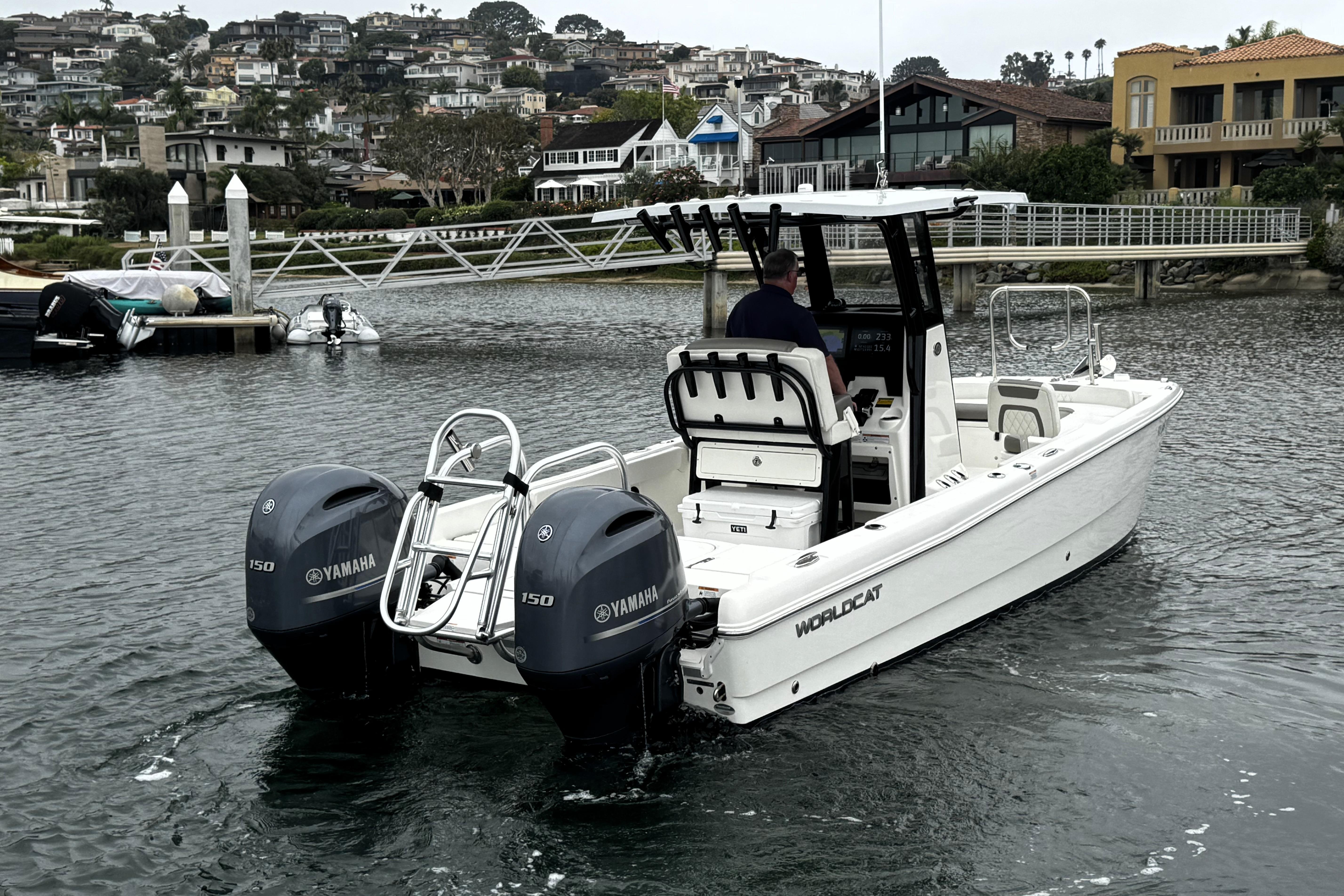 World Cat - 50North