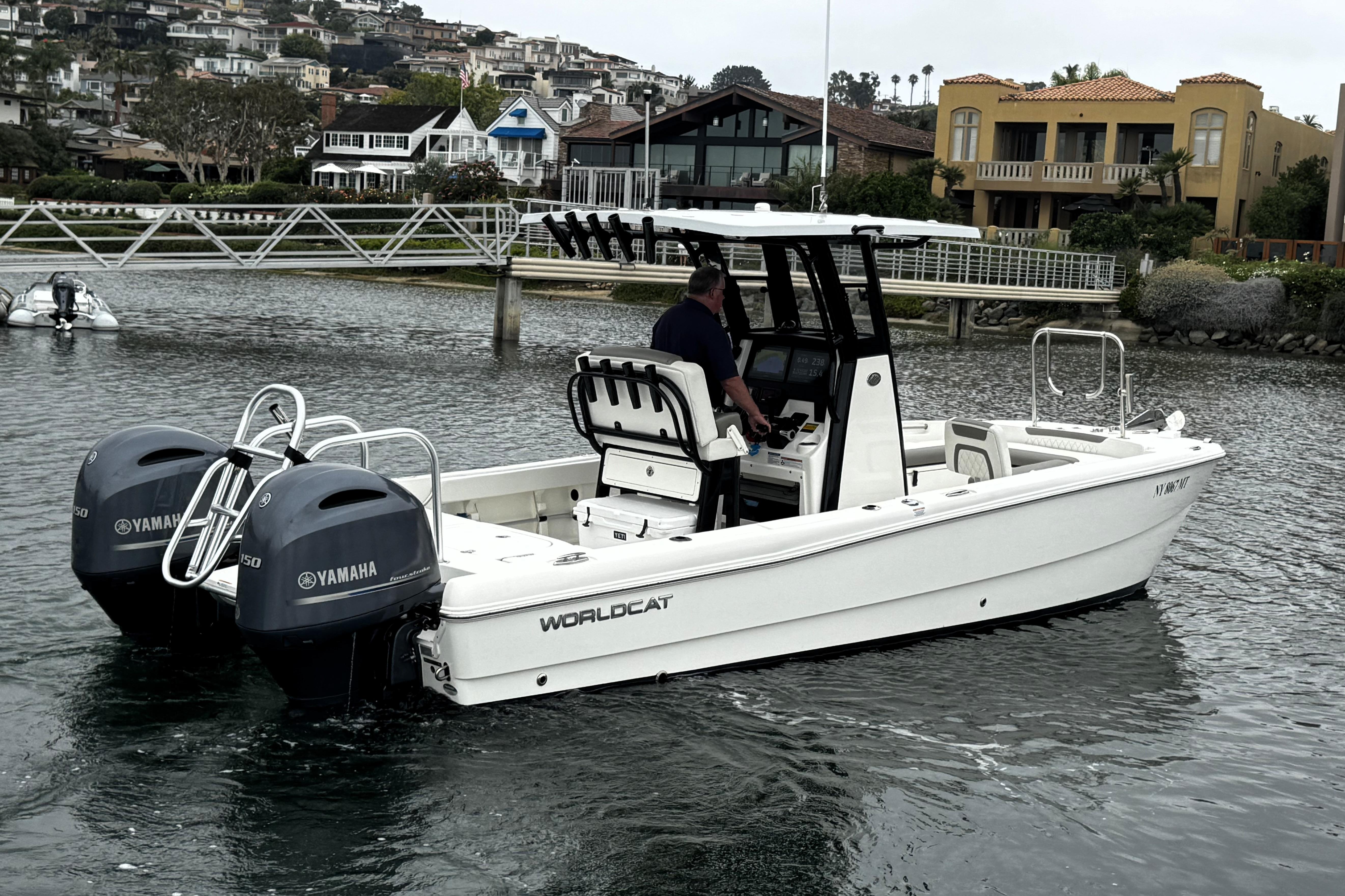 World Cat - 50North