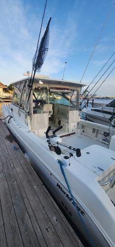 32' World Cat, Listing Number 100913483, - Photo No. 7