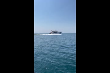 Sealine F43 video