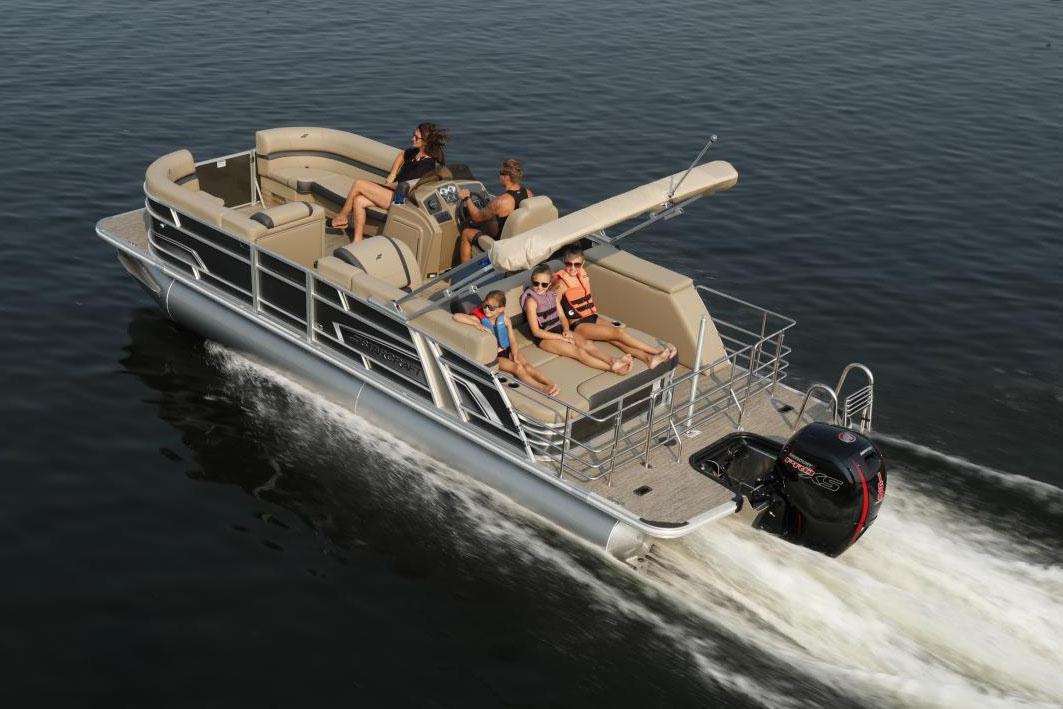 ⭐︎Sea Queen⭐︎ Good morning Gtown, baby crab, seagulls, and lady bug