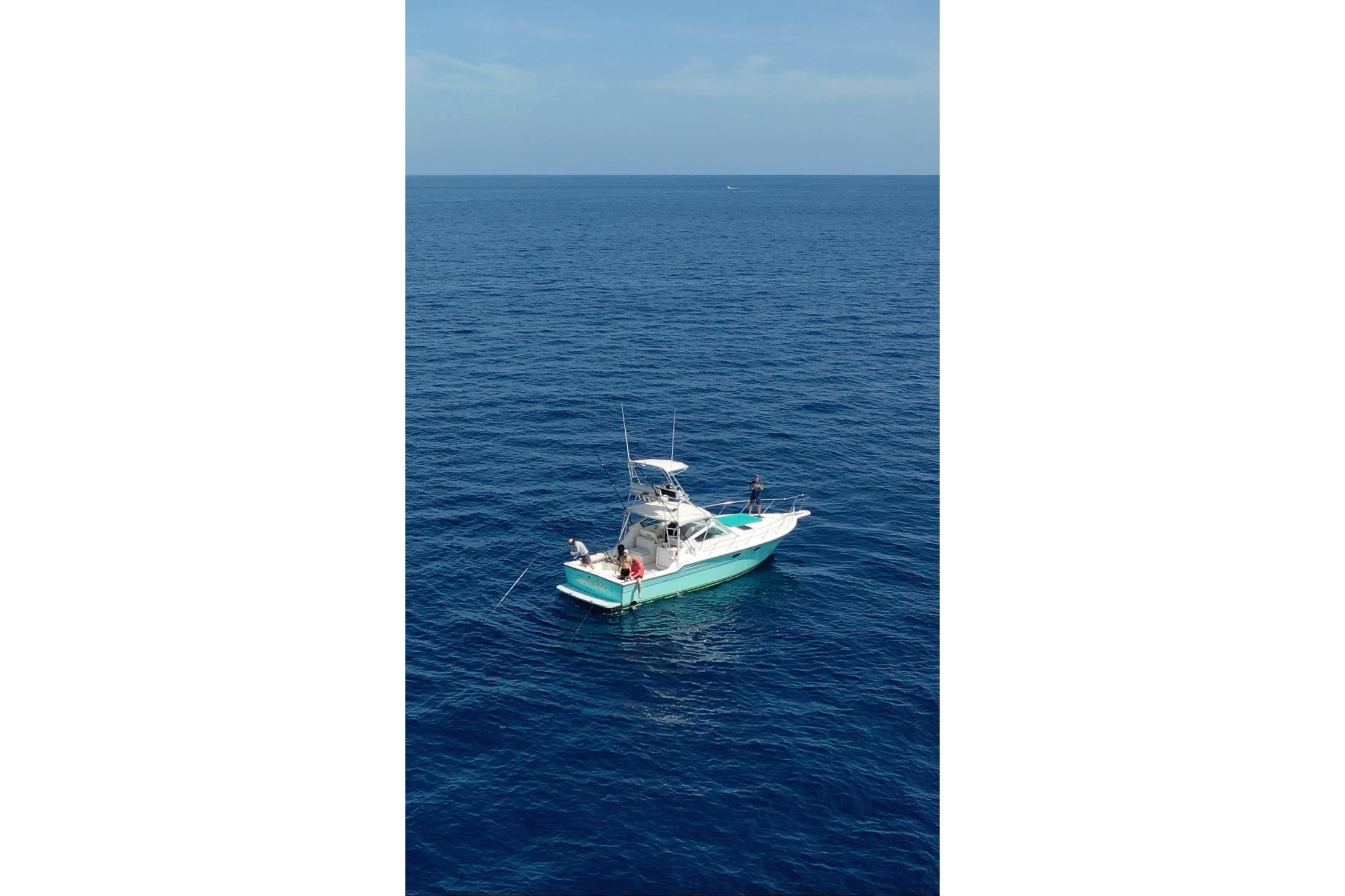 1992 Tiara Yachts 3600 Open