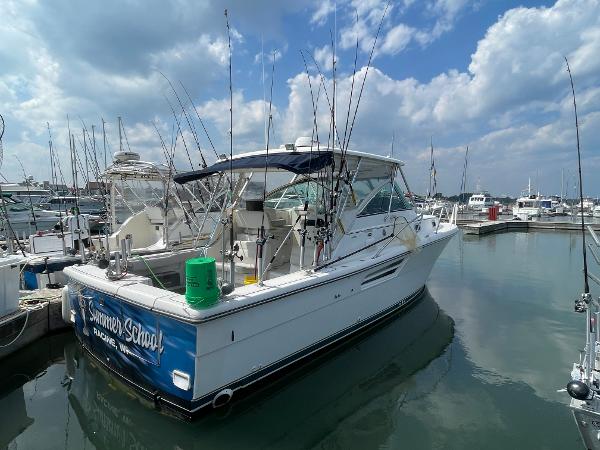 34' Pursuit, Listing Number 100905547, Image No. 3