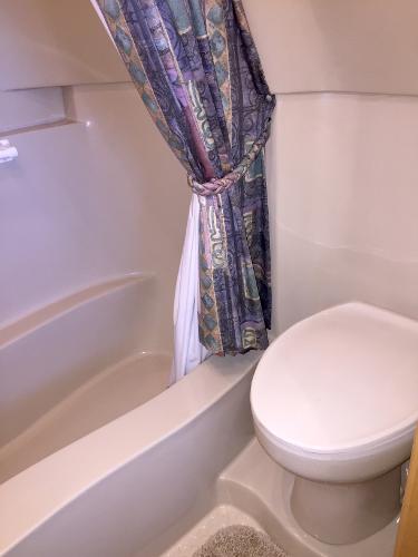 Aft head electric toilet