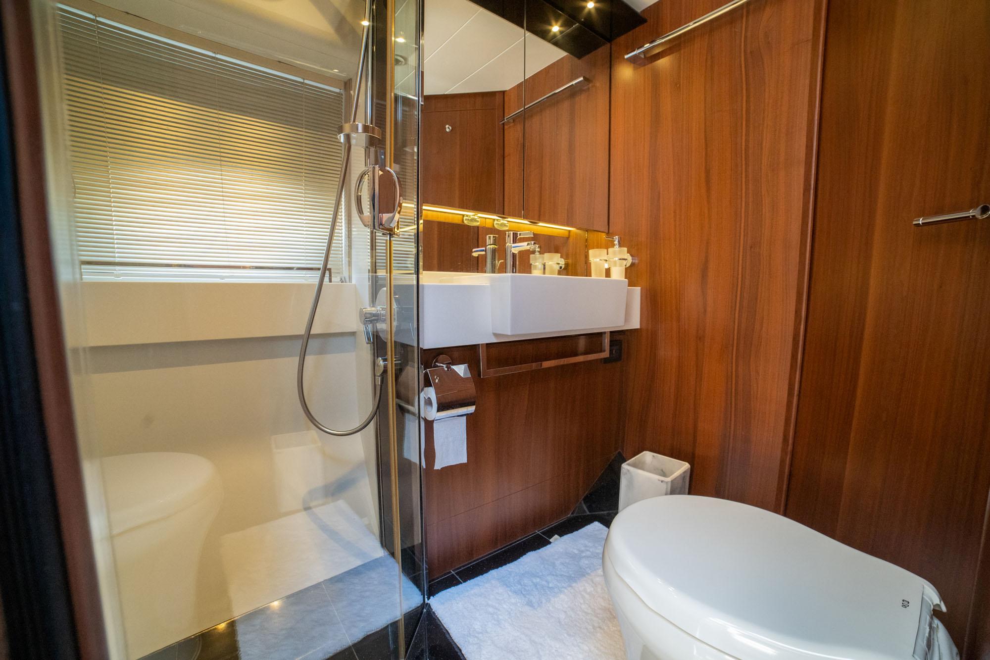 Ensuite Head and Shower