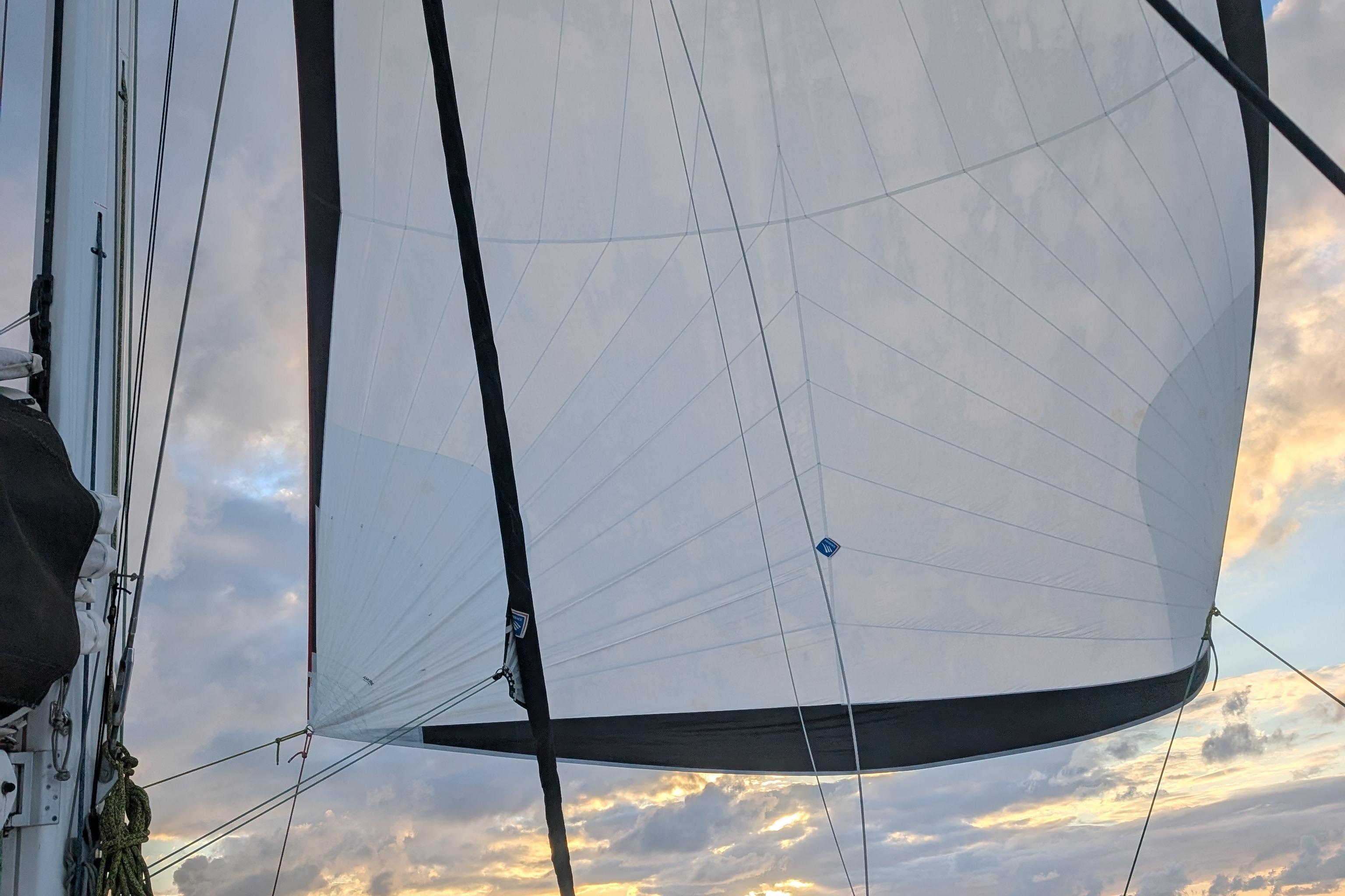 2024 Outremer 52 - image 33