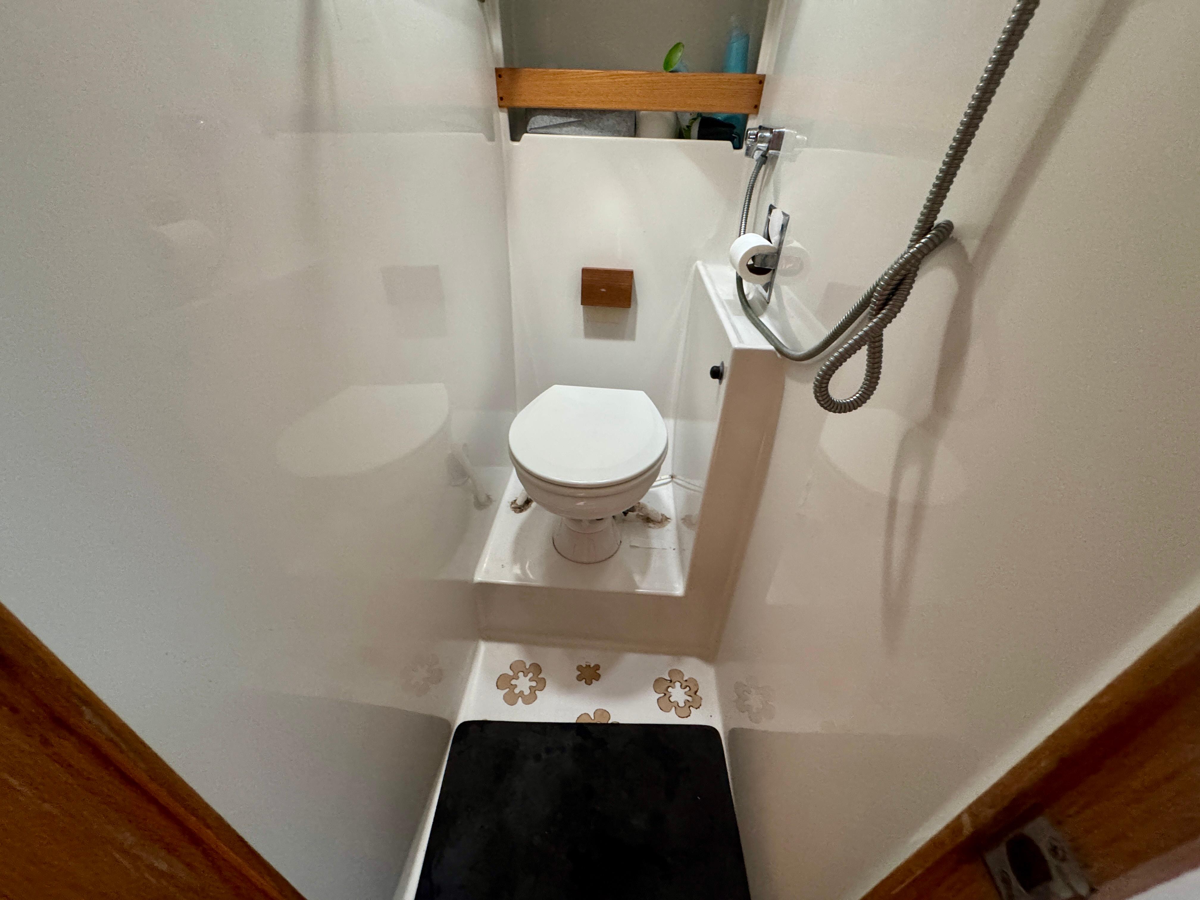 Compact bathroom in 1989 Chris-Craft Catalina boat, featuring toilet and showerhead.