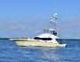 Viking 54 Salt Cracker-Profile
