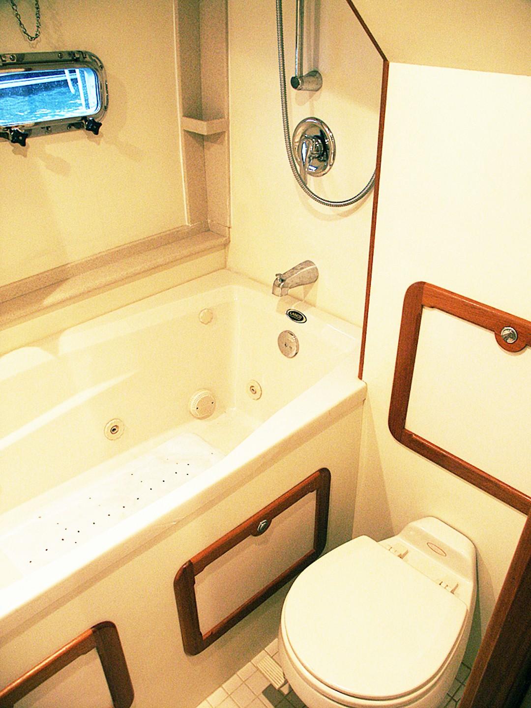 Owners Toilet and Jacuzzi Tub
