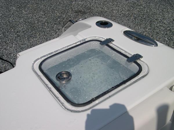 Gamefish 25 Photo 46