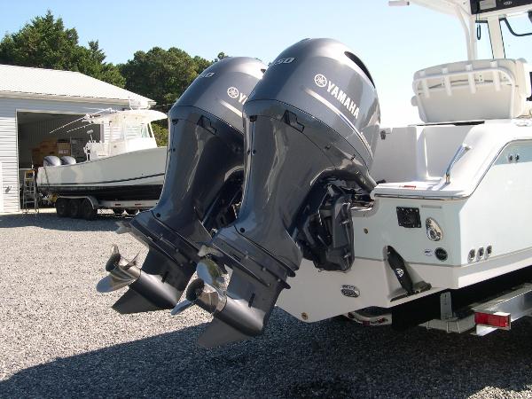Gamefish 25 Photo 7