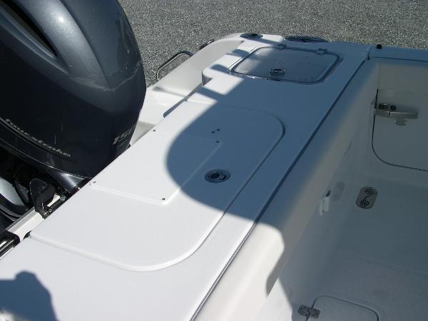 Gamefish 25 Photo 43