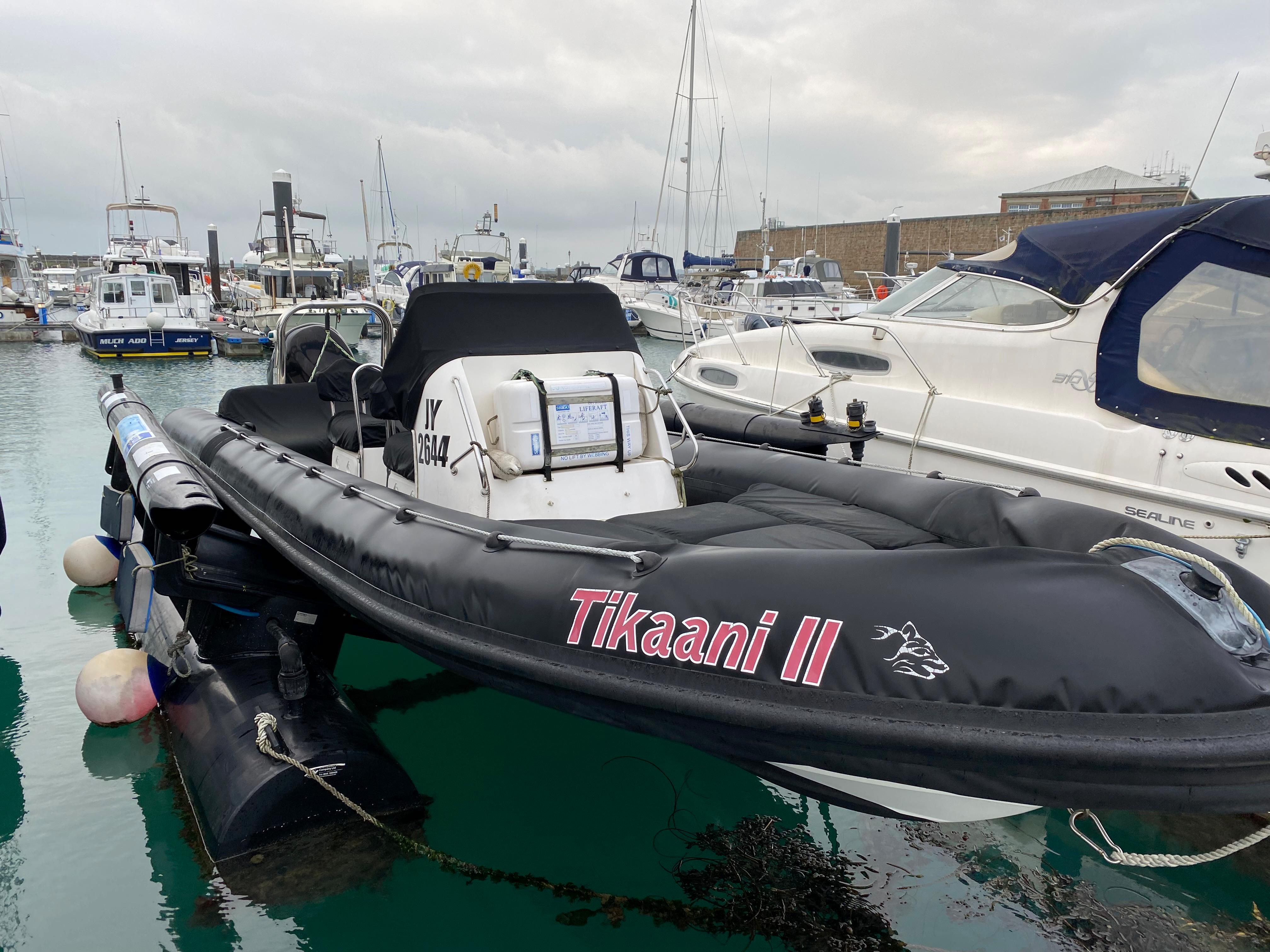 Cobra Ribs Nautique 8.5
