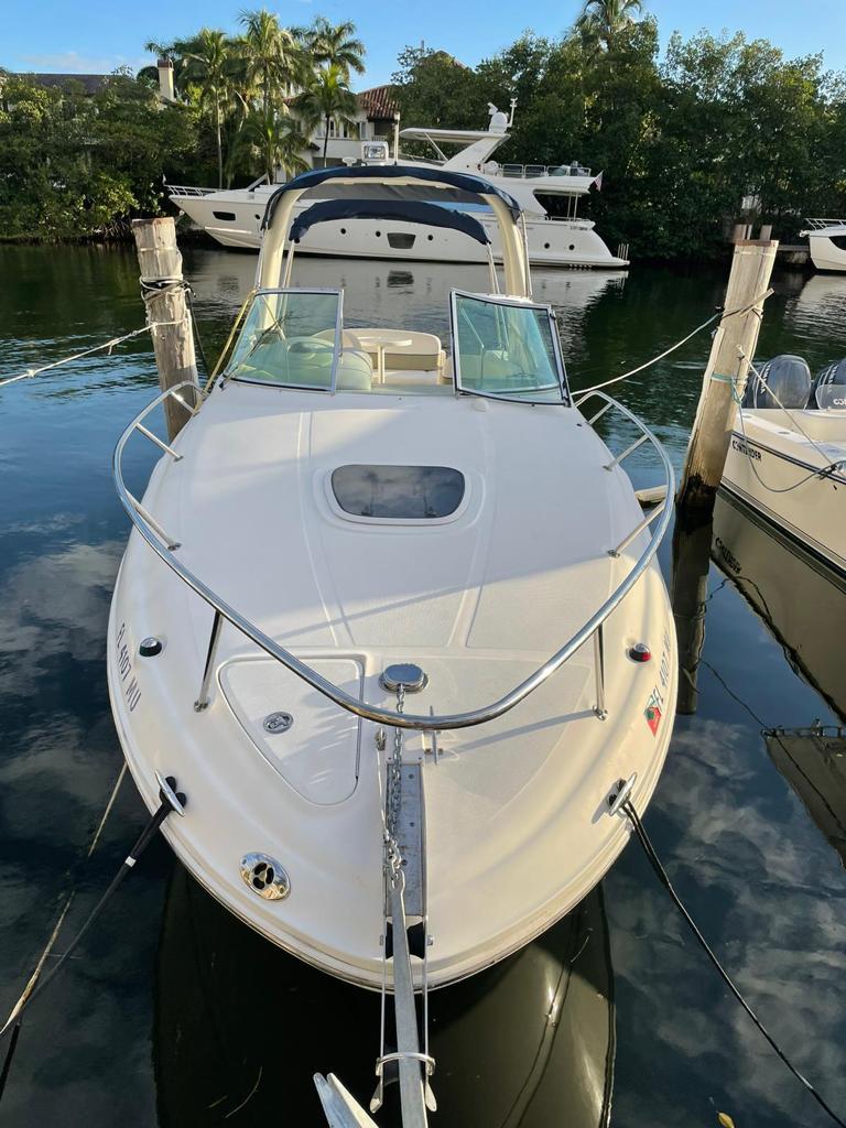 Sea Ray 260