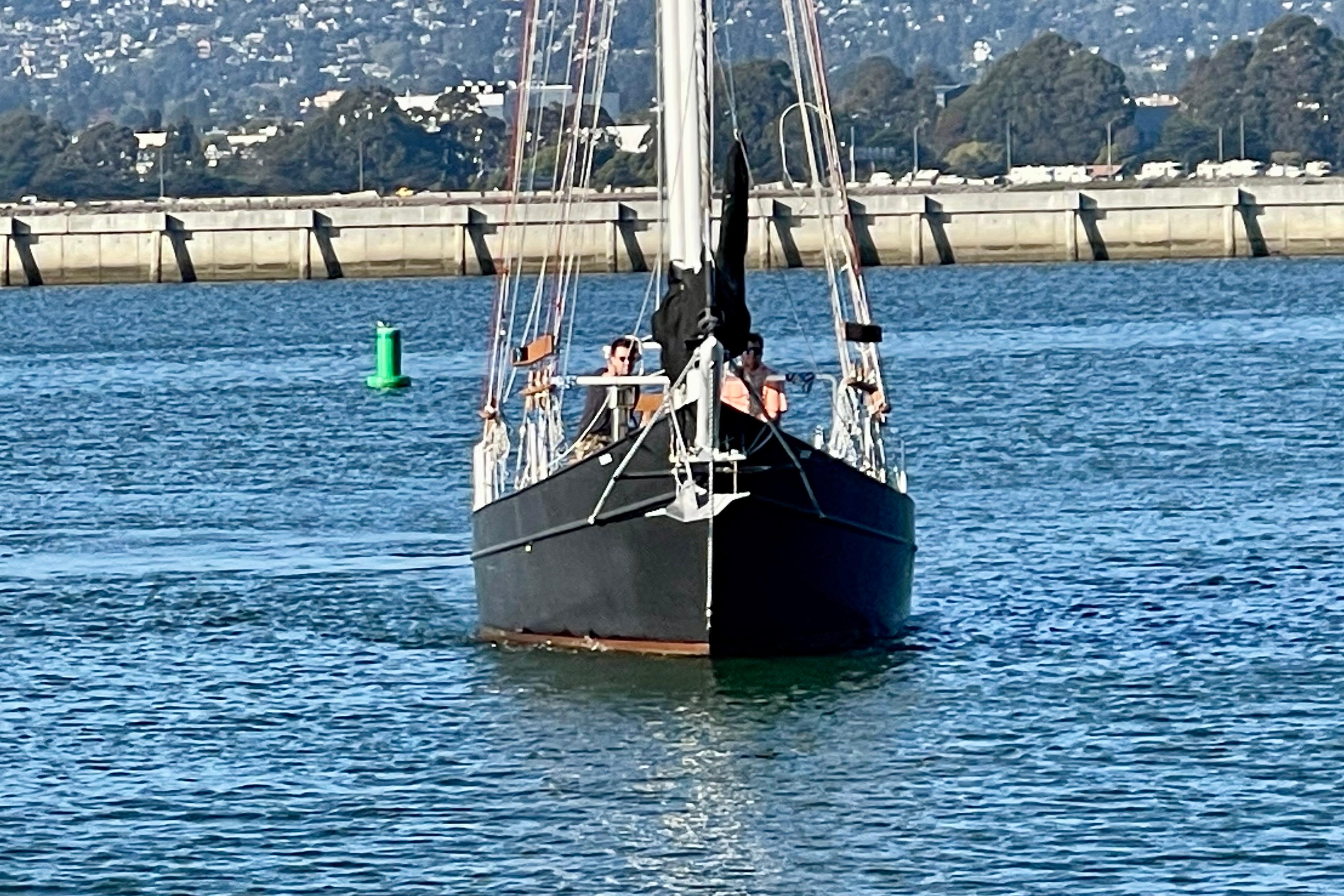 Sailboat "Pinky Custom 2008" navigating calm waters near a coastal city.