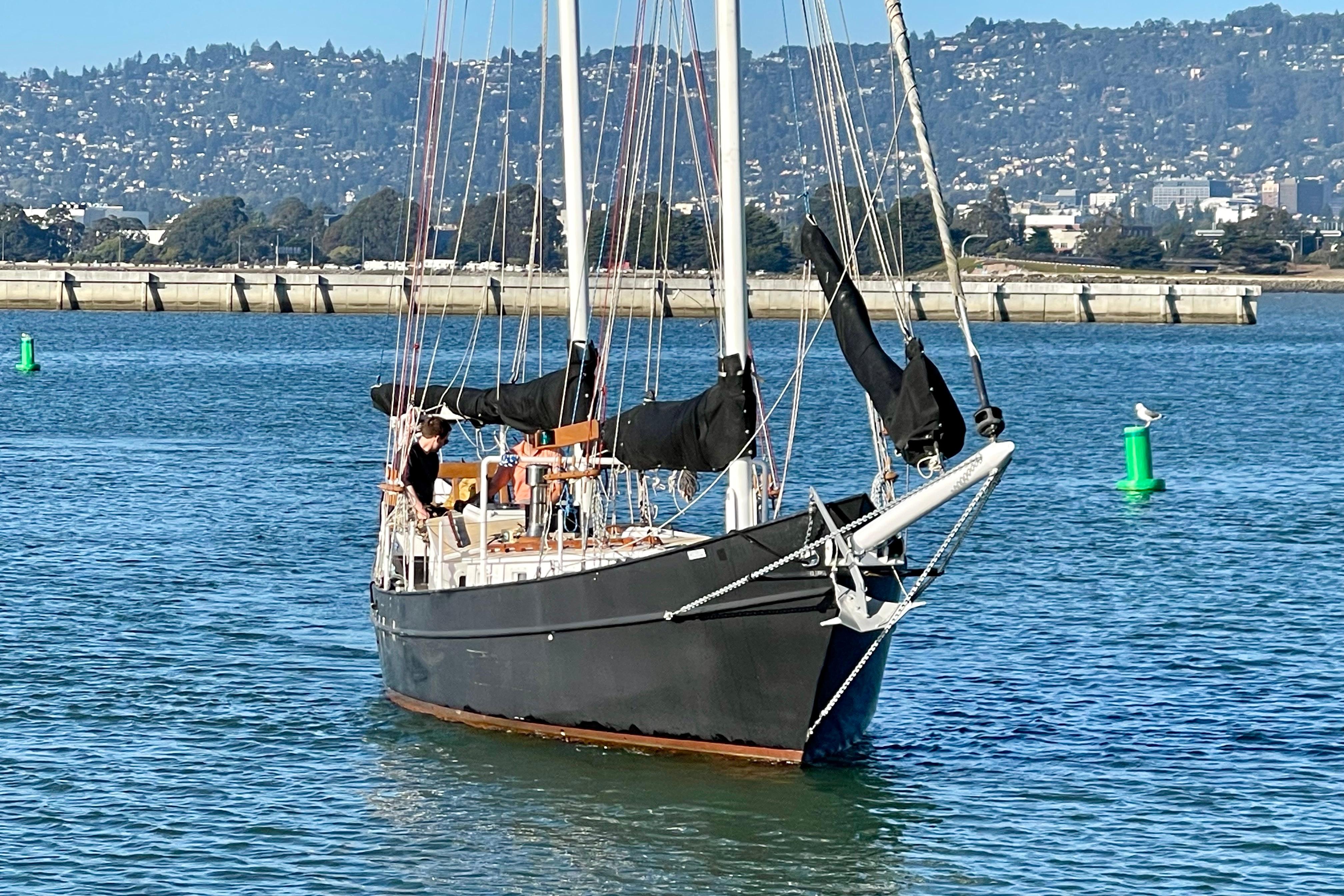 Sailboat "Pinky Custom 2008" on calm water with scenic city backdrop.