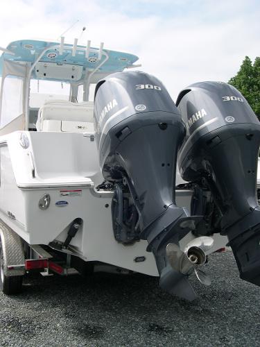 Gamefish 30 Photo 5