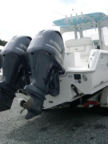 Gamefish 30 Photo 6