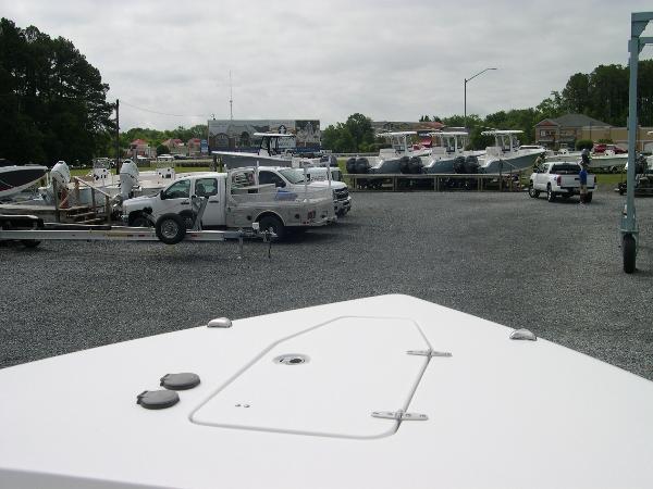 Gamefish 30 Photo 8