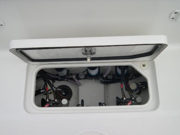 Gamefish 30 Photo 35