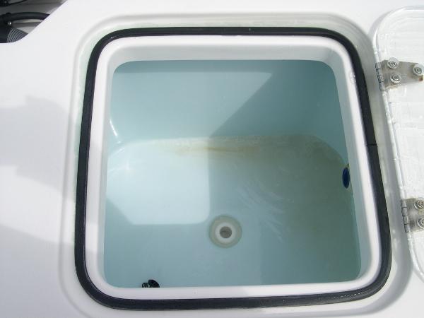 Gamefish 30 Photo 37