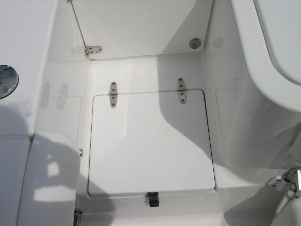 Gamefish 30 Photo 41
