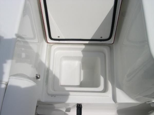 Gamefish 30 Photo 42