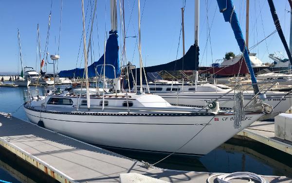 1977 Islander 36